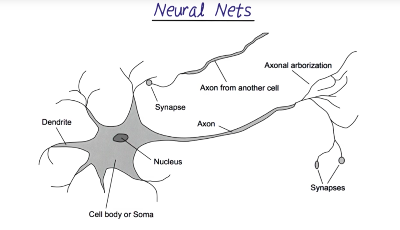 Neura nets