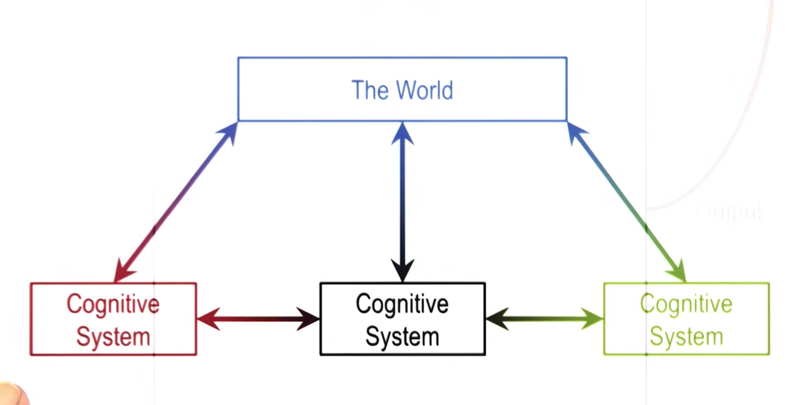 Multiple Cognitive Systems