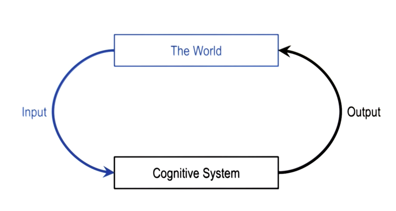 Single cognitive systems